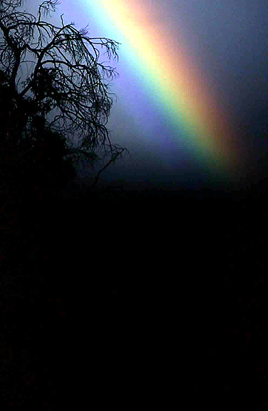 epson062.jpg