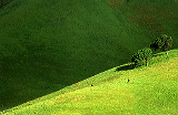 epson058